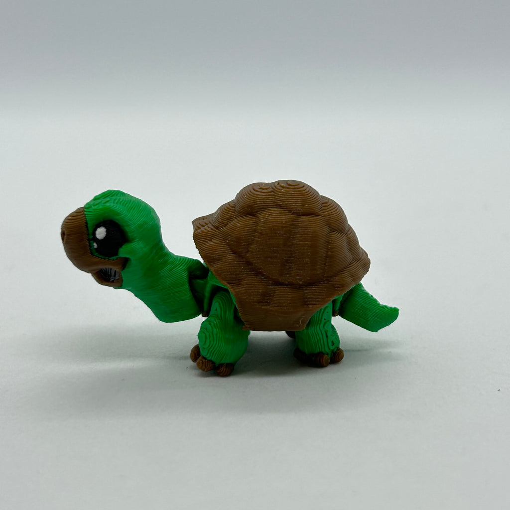 Small Tortoise