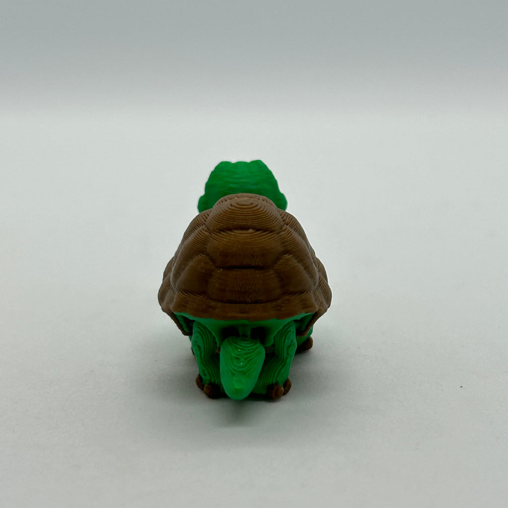 Small Tortoise