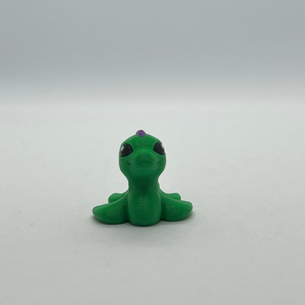 Small Loch Ness