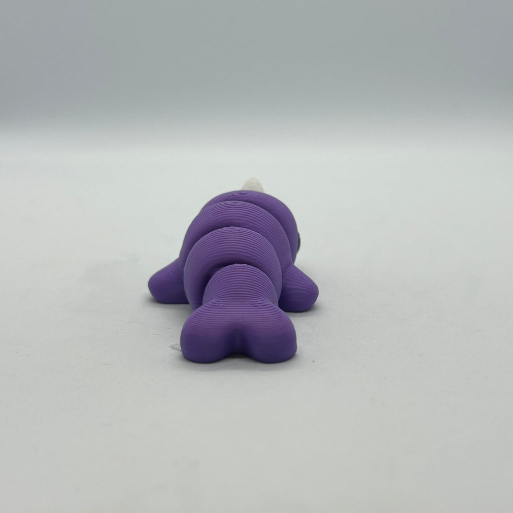Medium Narwhal