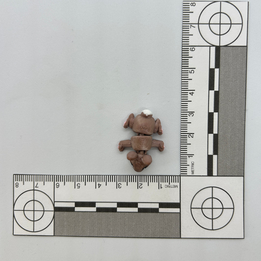 Tiny Bunny