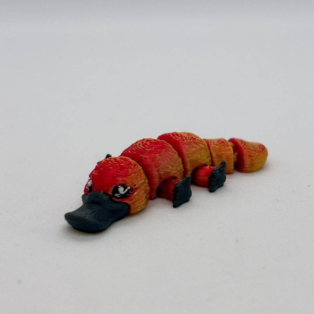Tiny Platypus