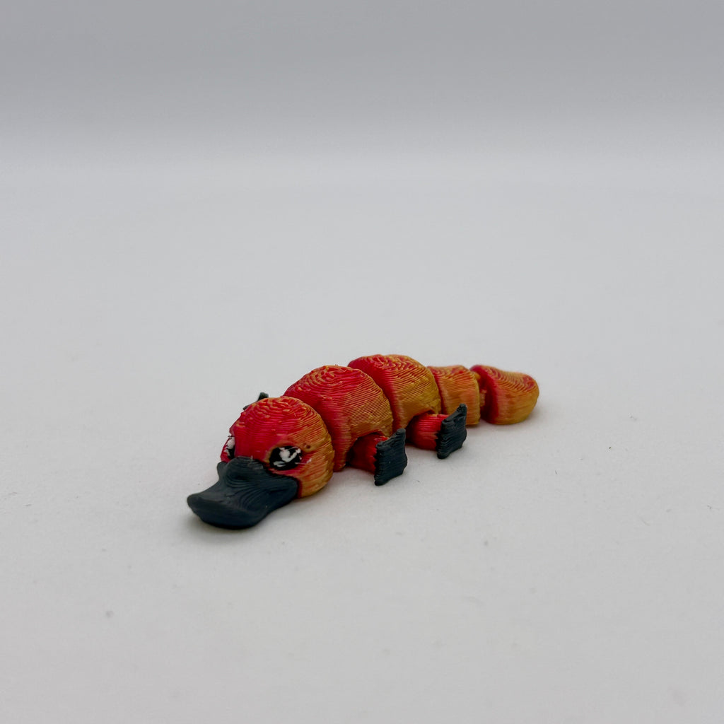 Tiny Platypus