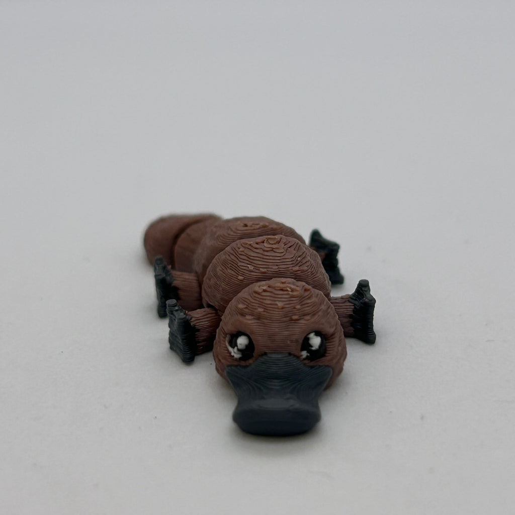 Tiny Platypus