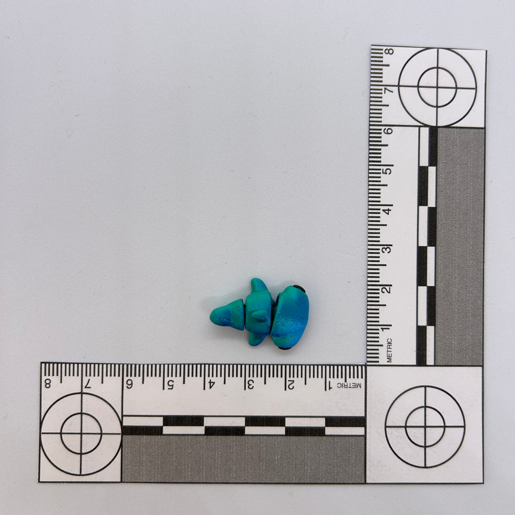 Tiny Hammerhead