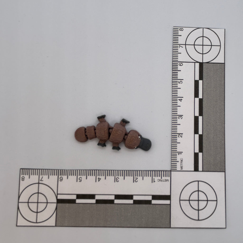 Tiny Platypus